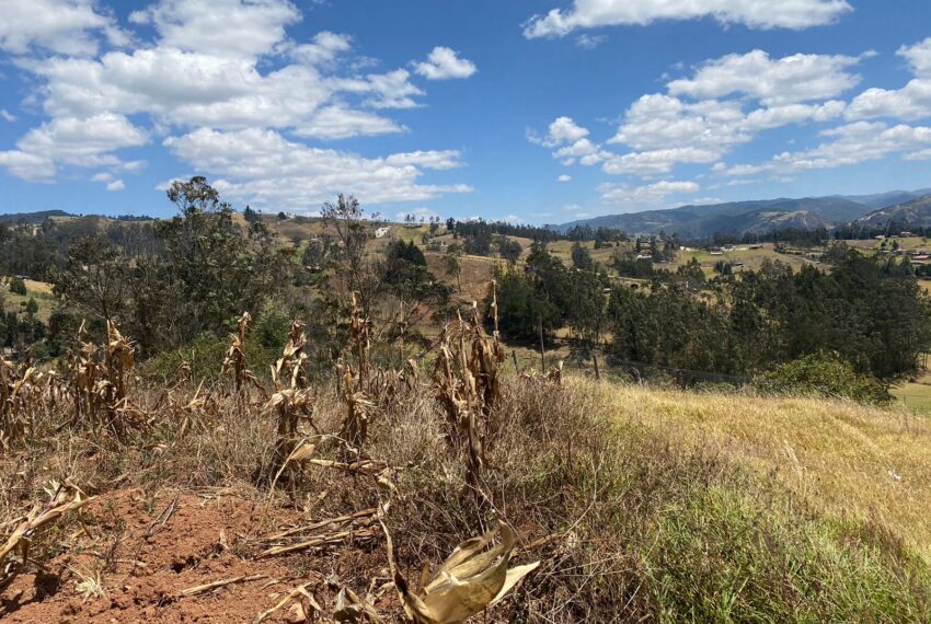 Terreno en venta en Cuenca Tarqui