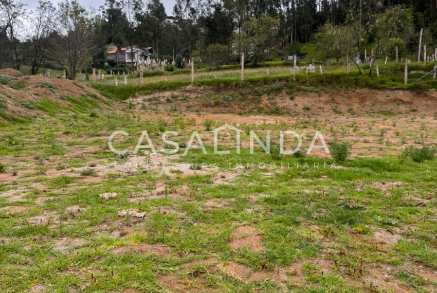 Terreno en Venta