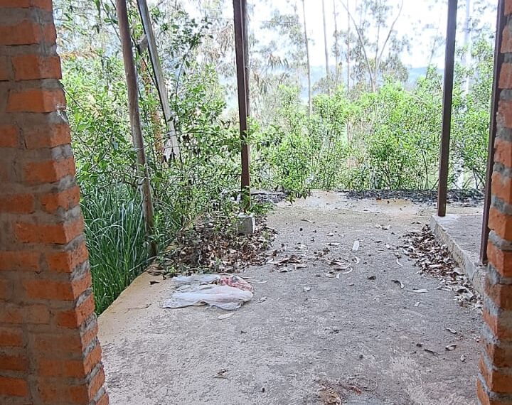 WhatsApp Image 2025-12-03 at 17.59.49