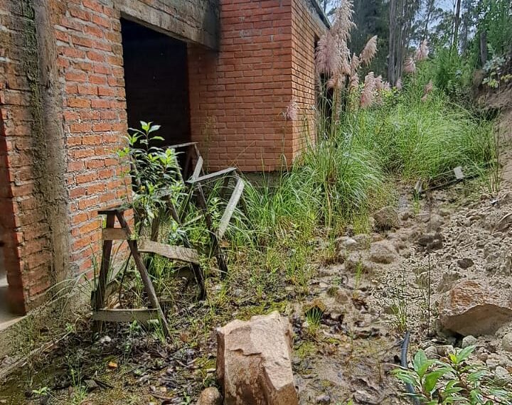 WhatsApp Image 2025-12-03 at 17.59.51