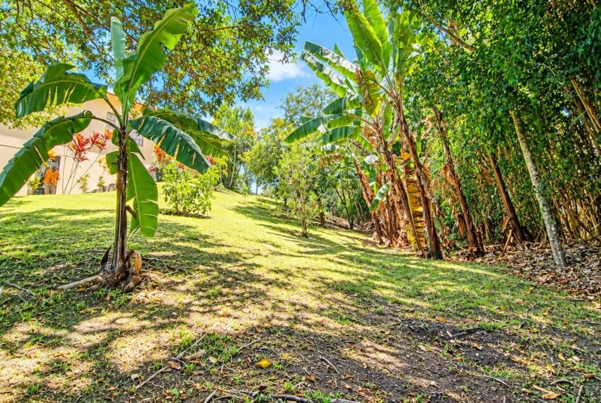 QUINTA EN MALAPAMBA